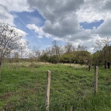 Magyartésen 85 m2-es tanya 5755 m2-es területtel