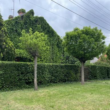 Megkapóan egyedi és elegáns családi ház Kertvárosban